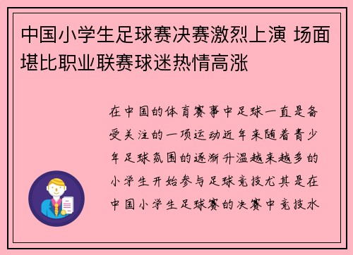 中国小学生足球赛决赛激烈上演 场面堪比职业联赛球迷热情高涨